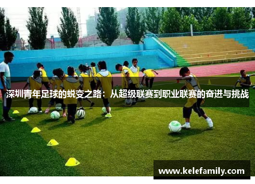 深圳青年足球的蜕变之路：从超级联赛到职业联赛的奋进与挑战