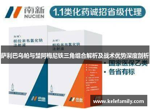 萨利巴乌帕与楚阿梅尼铁三角组合解析及战术优势深度剖析